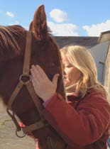 Pratique du Reiki sur un cheval